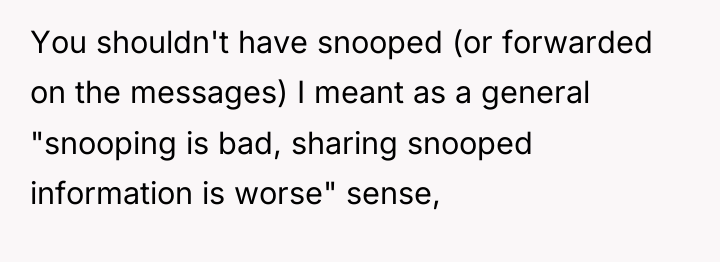 You shouldn't have snooped (or forwarded on the messages) I...