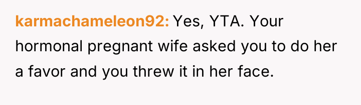 karmachameleon92 Yes, YTA. Your hormonal pregnant wife asked you to...