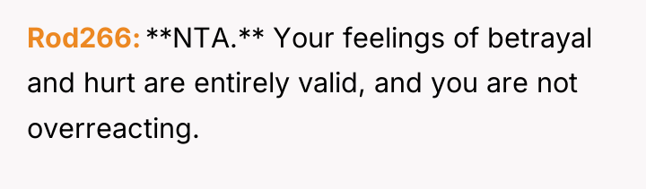Rod266 **NTA.** Your feelings of betrayal and hurt are entirely...