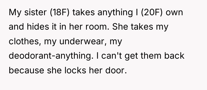 My sister (18F) takes anything I (20F) own and hides...