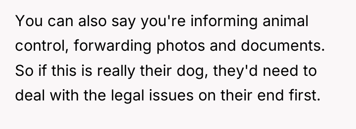 You can also say you're informing animal control, forwarding photos...