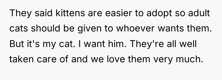They said kittens are easier to adopt so adult cats...