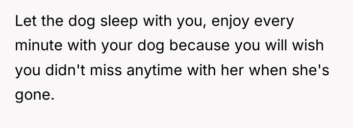 Let the dog sleep with you, enjoy every minute with...