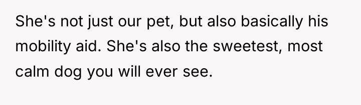 She's not just our pet, but also basically his mobility...