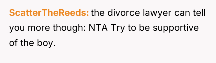 ScatterTheReeds the divorce lawyer can tell you more though: NTA...