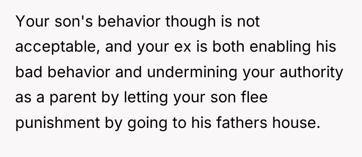 Your son's behavior though is not acceptable, and your ex...