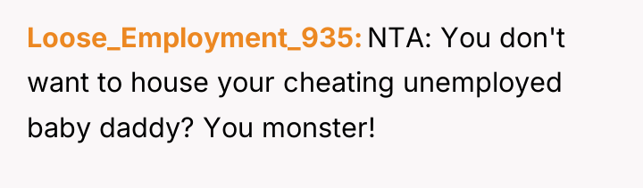 Loose_Employment_935 NTA: You don't want to house your cheating unemployed...