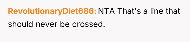 RevolutionaryDiet686 NTA That's a line that should never be crossed.