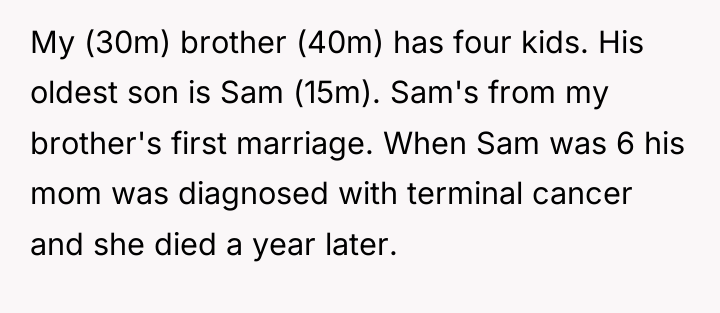 My (30m) brother (40m) has four kids. His oldest son...