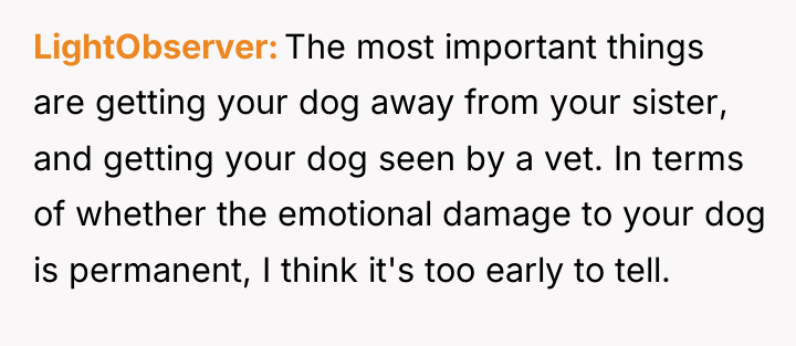 LightObserver The most important things are getting your dog away...