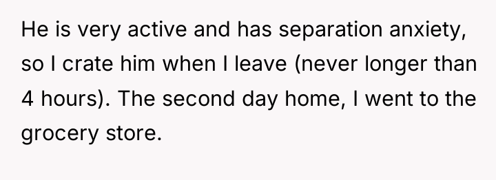 He is very active and has separation anxiety, so I...