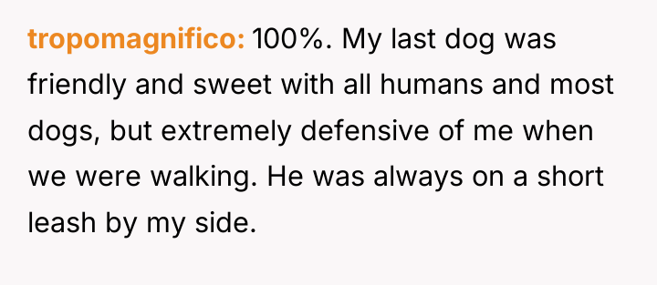 tropomagnifico 100%. My last dog was friendly and sweet with...