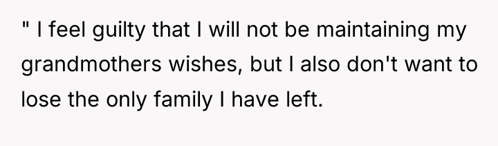 " I feel guilty that I will not be maintaining...