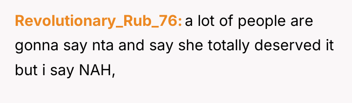 Revolutionary_Rub_76 a lot of people are gonna say nta and...