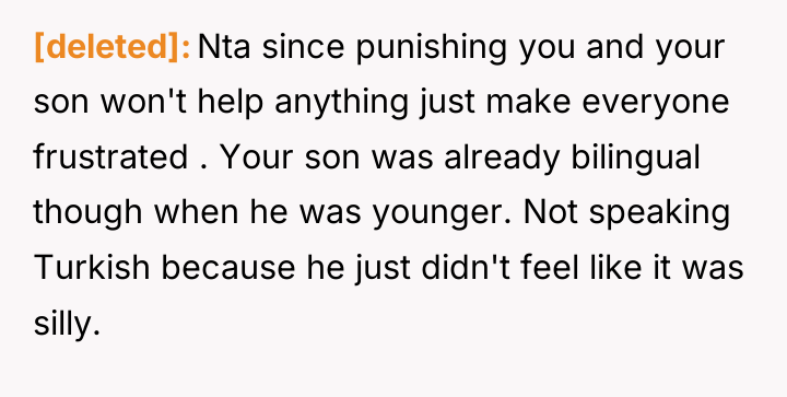 [deleted] Nta since punishing you and your son won't help...