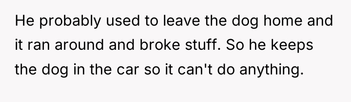 He probably used to leave the dog home and it...