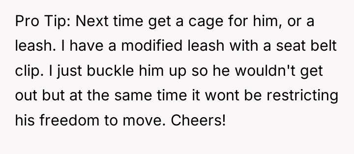 Pro Tip: Next time get a cage for him, or...