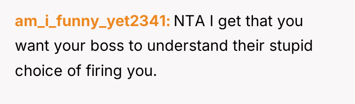 am_i_funny_yet2341 NTA I get that you want your boss to...