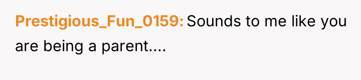Prestigious_Fun_0159 Sounds to me like you are being a parent....
