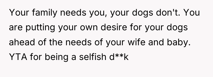 Your family needs you, your dogs don't. You are putting...