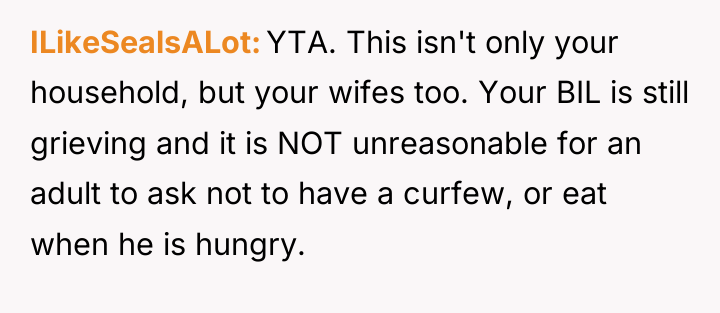ILikeSealsALot YTA. This isn't only your household, but your wifes...