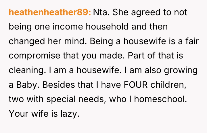 heathenheather89 Nta. She agreed to not being one income household...