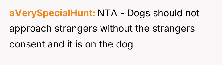 aVerySpecialHunt NTA - Dogs should not approach strangers without the...