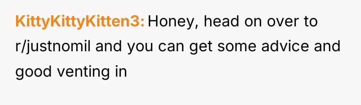 KittyKittyKitten3 Honey, head on over to r/justnomil and you can...
