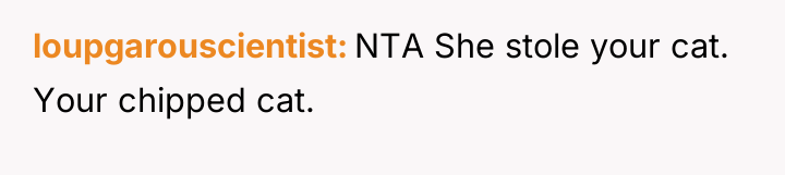 loupgarouscientist NTA She stole your cat. Your chipped cat.