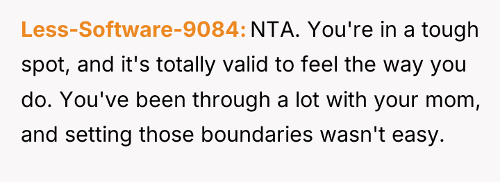 Less-Software-9084 NTA. You're in a tough spot, and it's totally...