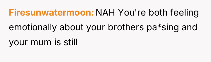 Firesunwatermoon NAH You're both feeling emotionally about your brothers pa*sing...