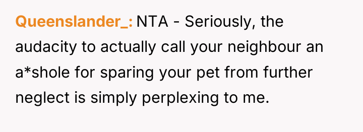 Queenslander_ NTA - Seriously, the audacity to actually call your...