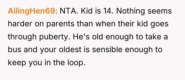 AilingHen69 NTA. Kid is 14. Nothing seems harder on parents...