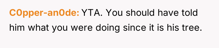 C0pper-an0de YTA. You should have told him what you were...