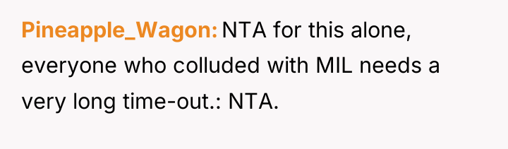 Pineapple_Wagon NTA for this alone, everyone who colluded with MIL...