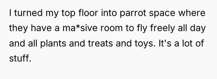 I turned my top floor into parrot space where they...