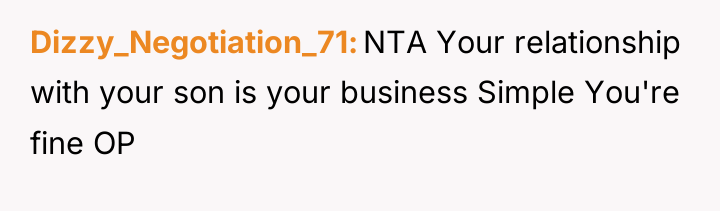 Dizzy_Negotiation_71 NTA Your relationship with your son is your business...