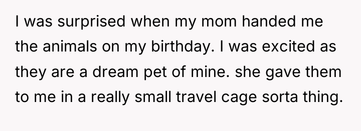 I was surprised when my mom handed me the animals...