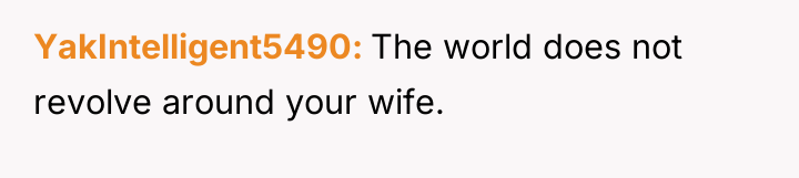 YakIntelligent5490 The world does not revolve around your wife.