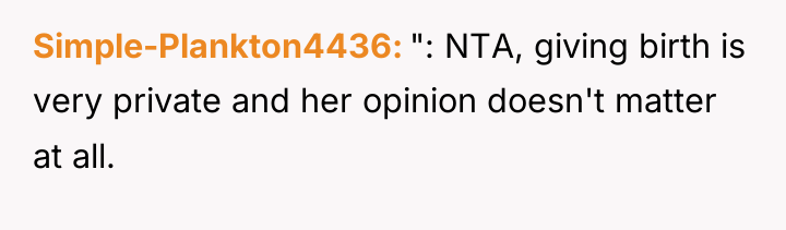 Simple-Plankton4436 ": NTA, giving birth is very private and her...