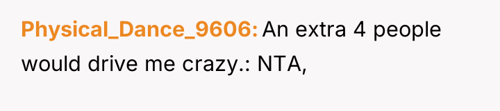 Physical_Dance_9606 An extra 4 people would drive me crazy.: NTA,