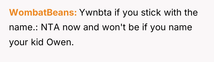 WombatBeans Ywnbta if you stick with the name.: NTA now...