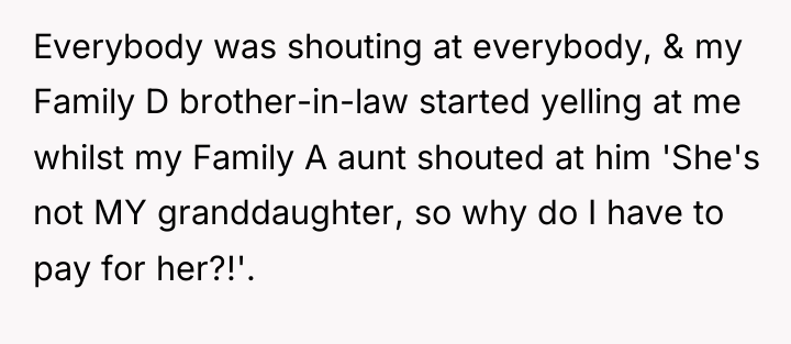 Everybody was shouting at everybody, & my Family D brother-in-law...