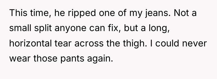 This time, he ripped one of my jeans. Not a...