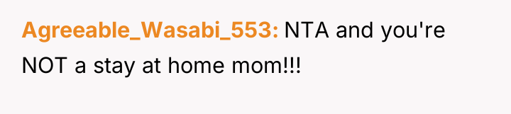 Agreeable_Wasabi_553 NTA and you're NOT a stay at home mom!!!