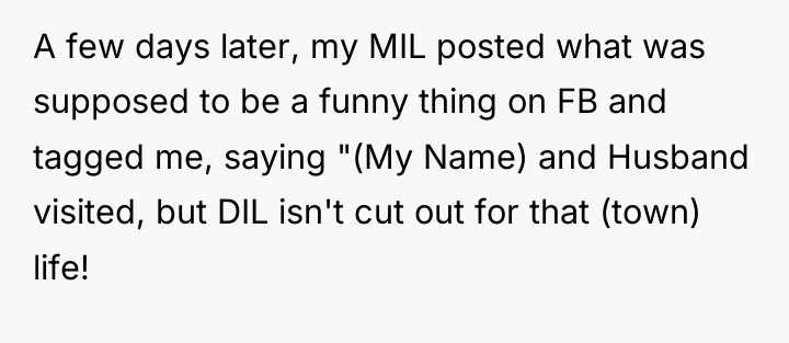 A few days later, my MIL posted what was supposed...
