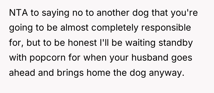 NTA to saying no to another dog that you're going...