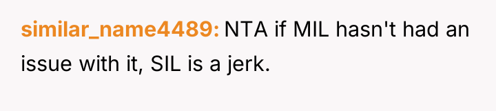 similar_name4489 NTA if MIL hasn't had an issue with it,...