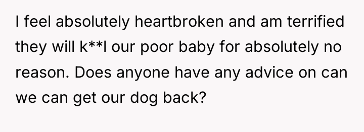 I feel absolutely heartbroken and am terrified they will k**l...