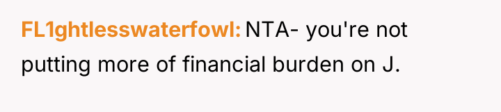 FL1ghtlesswaterfowl NTA- you're not putting more of financial burden on...